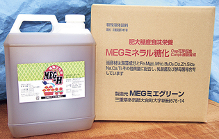 MEGミネラル糖下